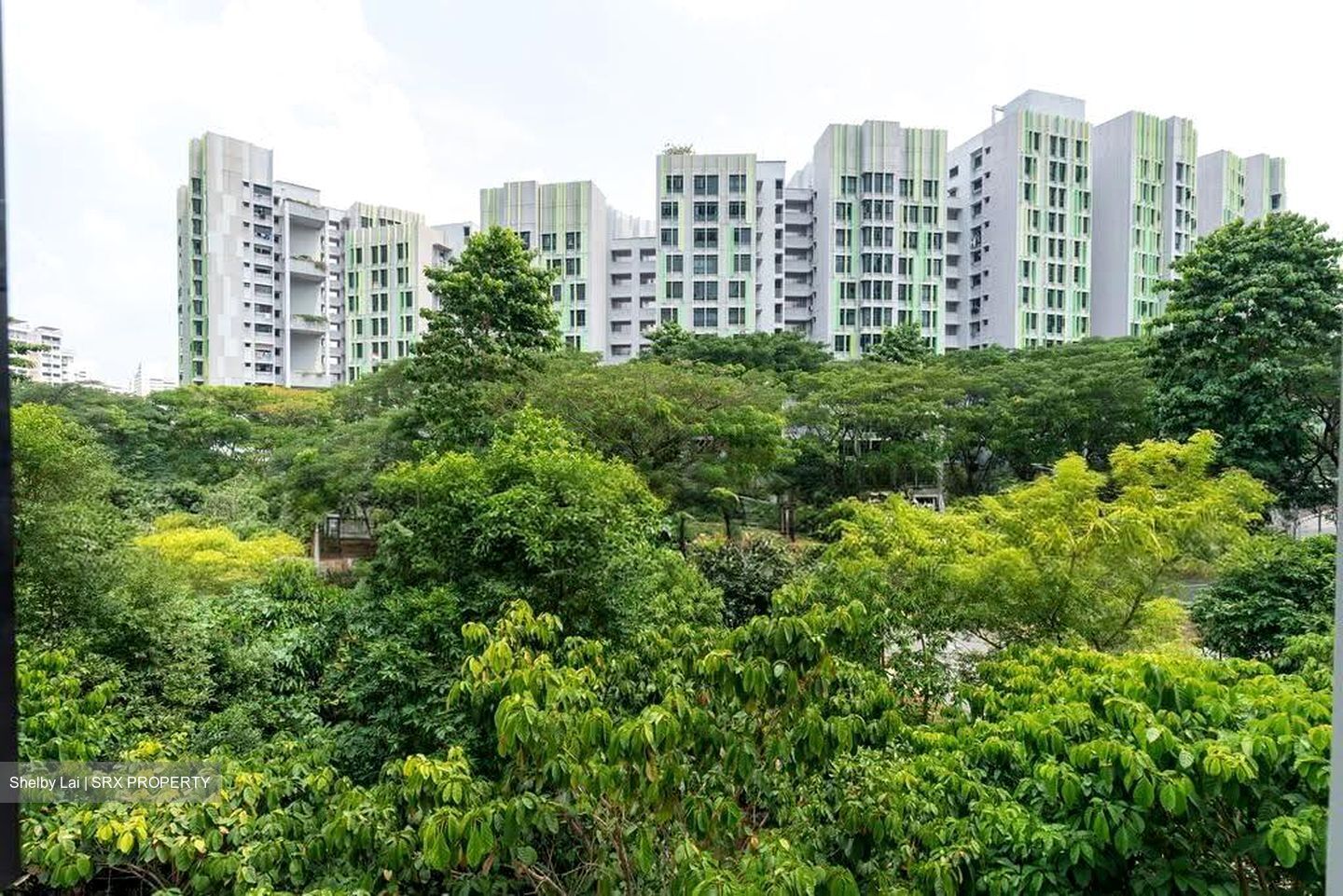 Blk 108A Alkaff Oasis (Toa Payoh), HDB 3 Rooms #612586461